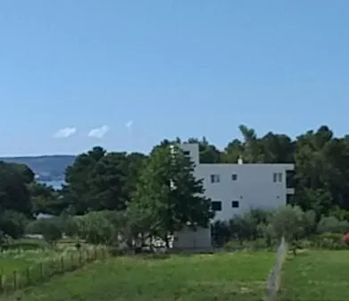شقة Rubin